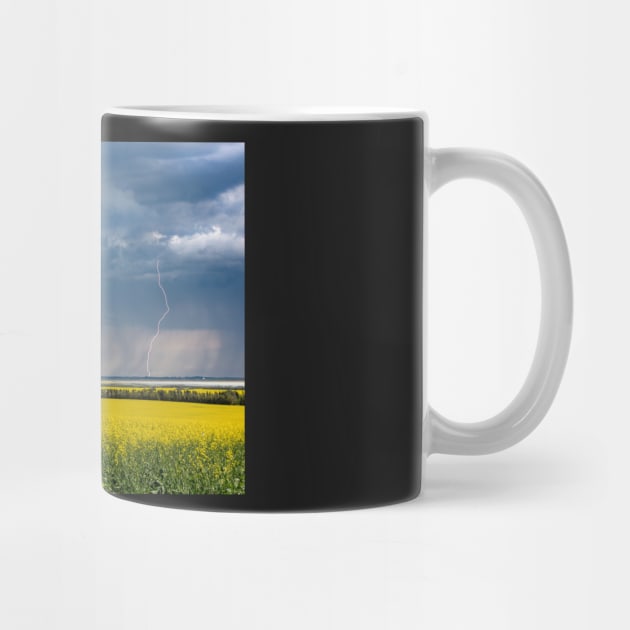 Thunderstorm Over a Canola Field by saku1997